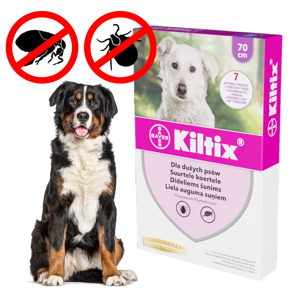 kiltix Xl.jpg